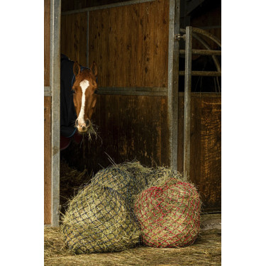 Hooinet Hippotonic Zari Hooinet Hippotonic Zari