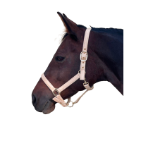 Halster Canter Malibu Zwart