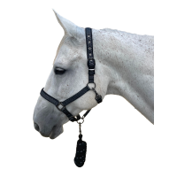 Set halster + lijn Sonoma Canter Zwart Set halster + lijn Sonoma Canter Zwart