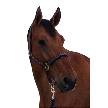 Set halster + lijn Sonoma Canter Set halster + lijn Sonoma Canter