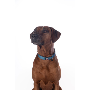 Collier de chien HKM Anam Cara nylon Pétrole Bleu