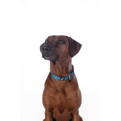 Hondenhalsband HKM Anam Cara nylon Petroleum Blauw