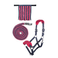 Set de licol HKM mousqueton anti-paniques franges détachables Gris / rose foncé