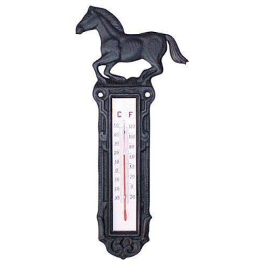 Thermomètre en fer forgé HKM Thermomètre en fer forgé HKM