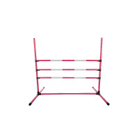 HKM Hobby Horsing springset Roze