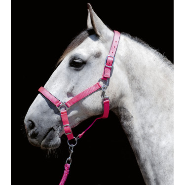 Licol Stars Softice doublure douce HKM Licol Stars Softice doublure douce HKM