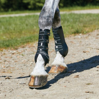 WeatherBeeta dressuurbeschermers met harde schaal Zwart