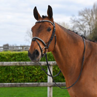 Bridon Clincher Jump'In One Premium Noir Bridon Clincher Jump'In One Premium Noir