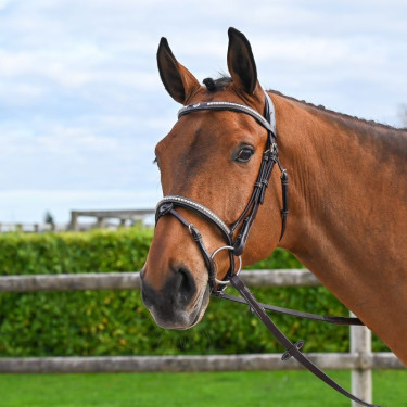 Hoofdstel Clincher Jump'In One Premium Hoofdstel Clincher Jump'In One Premium
