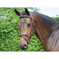 Filet Jump'In Crystal gecombineerde neusriem Week Havane kristal blauw