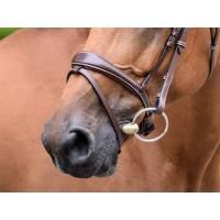 Muserolle Bruxelles Jump'In One Noisette Muserolle Bruxelles Jump'In One Noisette