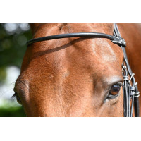 Frontal Monday Jump'In Havane Marron Frontal Monday Jump'In Havane Marron