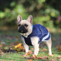 Honden deken Bucas Freedom 150g Marineblauw Honden deken Bucas Freedom 150g Marineblauw