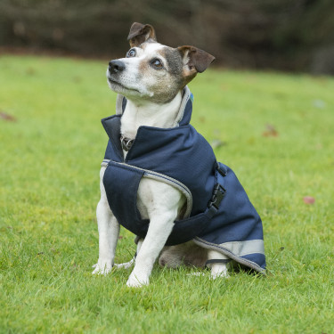 Honden deken Bucas Freedom 150g Honden deken Bucas Freedom 150g