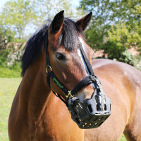 Greenguard mand Zwart