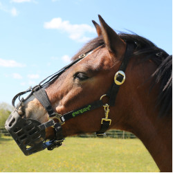 Greenguard mand Zwart Greenguard mand Zwart