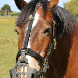 Greenguard mand Zwart Greenguard mand Zwart