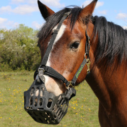 Greenguard mand Zwart Greenguard mand Zwart