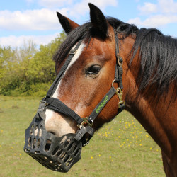 Greenguard mand Zwart Greenguard mand Zwart