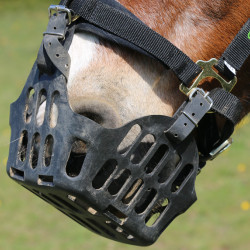 Greenguard mand Zwart Greenguard mand Zwart