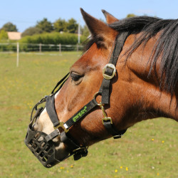 Greenguard mand Zwart Greenguard mand Zwart