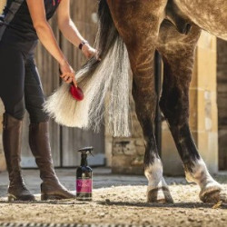 Lotion voor manen en staart Canter® Carr & Day & Martin Lotion voor manen en staart Canter® Carr & Day & Martin