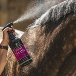 Lotion voor manen en staart Canter® Carr & Day & Martin Lotion voor manen en staart Canter® Carr & Day & Martin