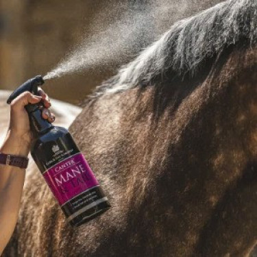 Lotion voor manen en staart Canter® Carr & Day & Martin Lotion voor manen en staart Canter® Carr & Day & Martin