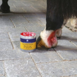 Crème de protection Carr & Day & Martin Protection Plus