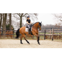 Tapis LeMieux dressage square - coton Blanc