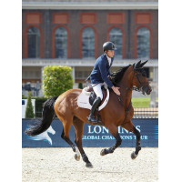 Tapis LeMieux EJ binding - suede Blanc / Argent / Blanc