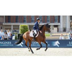 Tapis LeMieux Eurojump Suede Blanc / Argent / Blanc Tapis LeMieux Eurojump Suede Blanc / Argent / Blanc