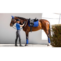 Luxe fleece polobandages voor paardentraining