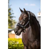 Halster en longe Lemieux Vogue Marineblauw / koningsblauw