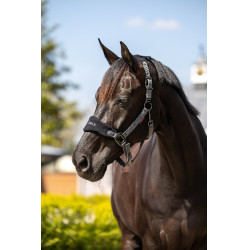 Halster en longe Lemieux Vogue Zwart / grijs