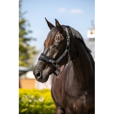 Halster en longe Lemieux Vogue Zwart / grijs