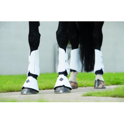 LeMieux Gamaschen - Dressuur LeMieux Gamaschen - Dressuur