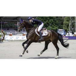 Tapis LeMieux Prosport close contact square - coton Blanc