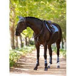 LeMieux Grafter Peesbeschermers Ice blue oud model Blauw