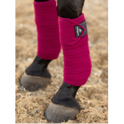 Bandes de polo LeMieux Luxury Mûre Bordeaux