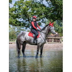 Tapis LeMieux Suede GP Square Chilli Rouge