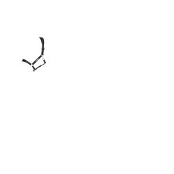 Licol Capella LeMieux Noir Licol Capella LeMieux Noir