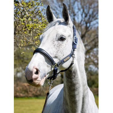 Halster Capella LeMieux Marineblauw