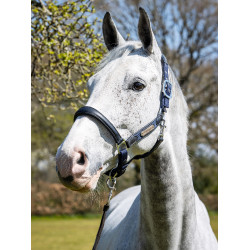 Licol Capella LeMieux Bleu marine