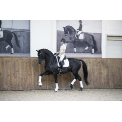 LeMieux Loire Classic Dressuur Vierkant Wit LeMieux Loire Classic Dressuur Vierkant Wit