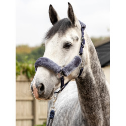 Licol LeMieux Confort Marine / gris Bleu Licol LeMieux Confort Marine / gris Bleu