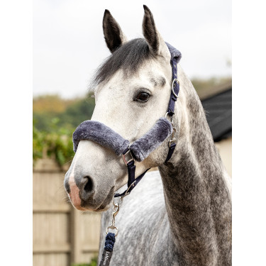 Licol LeMieux Confort Marine / gris Bleu Licol LeMieux Confort Marine / gris Bleu