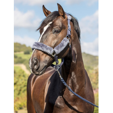 Licol LeMieux Confort Marine / gris Bleu Licol LeMieux Confort Marine / gris Bleu