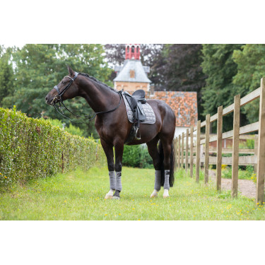 Dressuurdekje LeMieux Carbon Mesh Square Grijs Dressuurdekje LeMieux Carbon Mesh Square Grijs