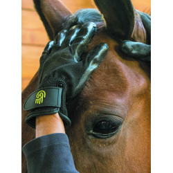 Gant de pansage LeMieux Hands On Noir Gant de pansage LeMieux Hands On Noir